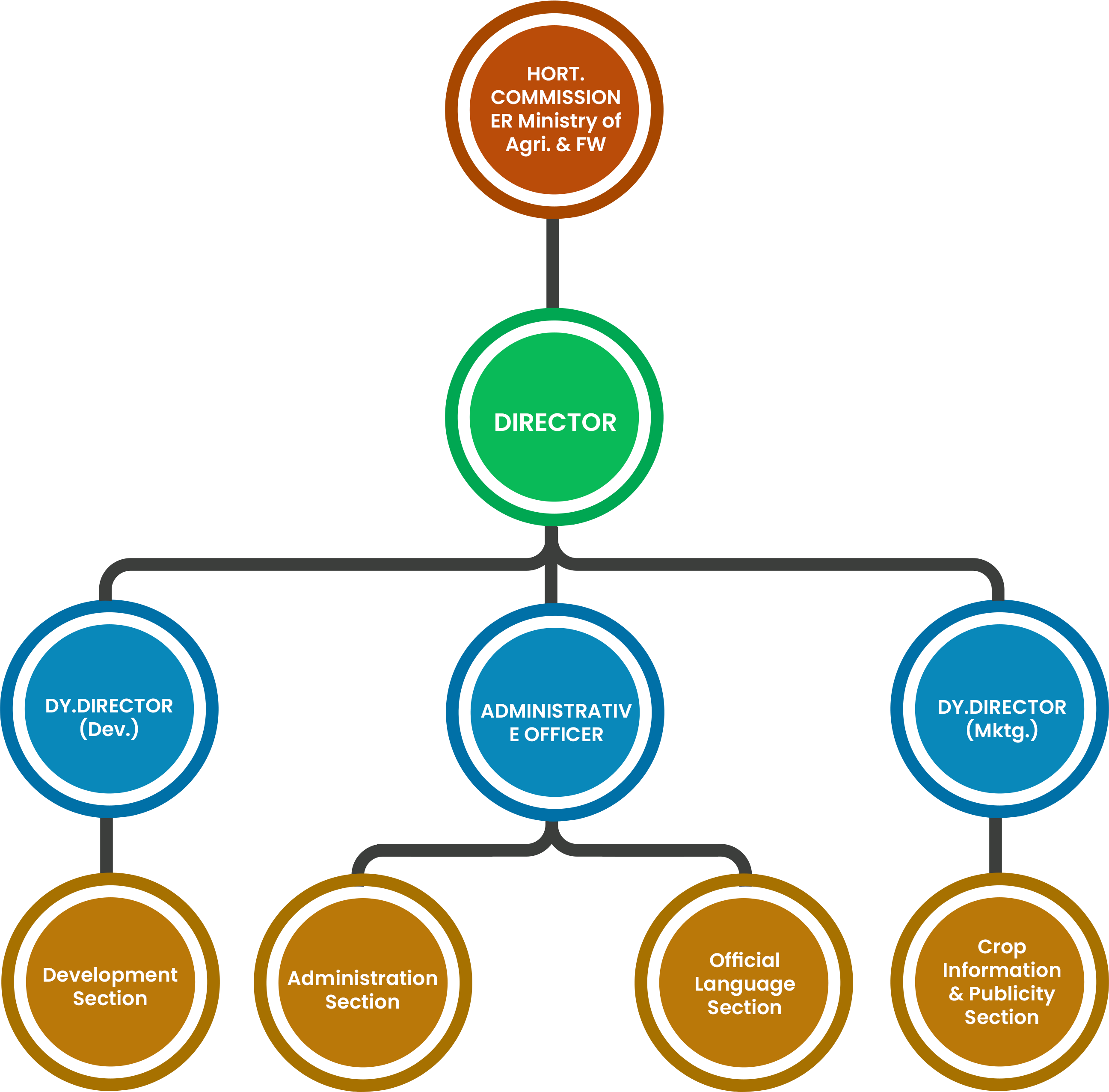 Oraganisation Chart